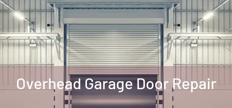  Overhead Garage Door Repair 
